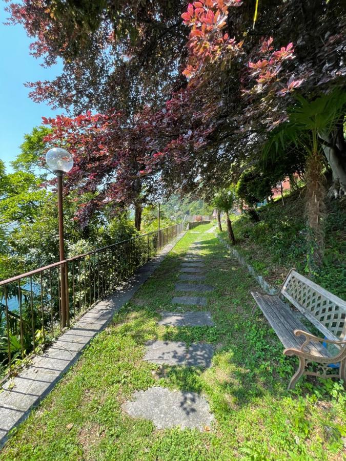 Villa Angelina Guest House Cannero Riviera Dış mekan fotoğraf
